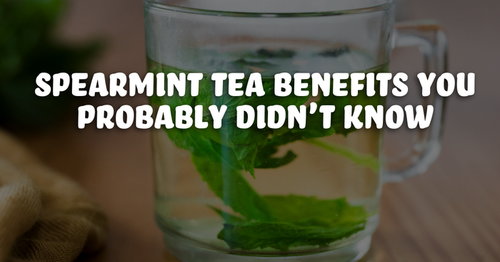 a steaming cup of spearmint leaves with vibrant green leaves of spearmint in it.