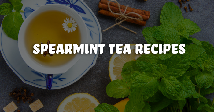 Pouring herbal tea in a cup