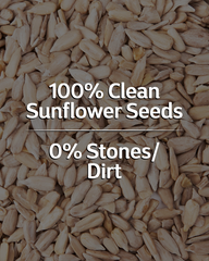 Raw Sunflower Seeds 500g - Good for Skin Health (Contains 25g Protein)